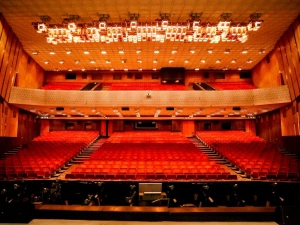 Музыкальный театр Театрально-концертное агентство "Звёздный дождь"